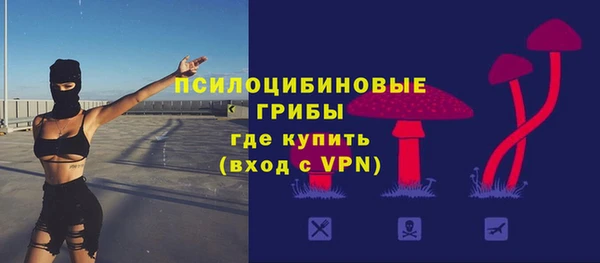 дживик Беломорск